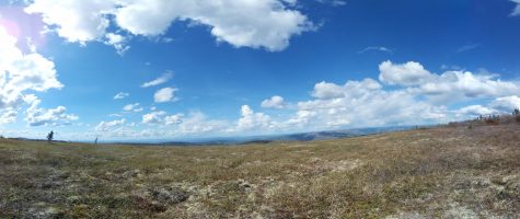 Virtual Biome: Subalpine Tundra