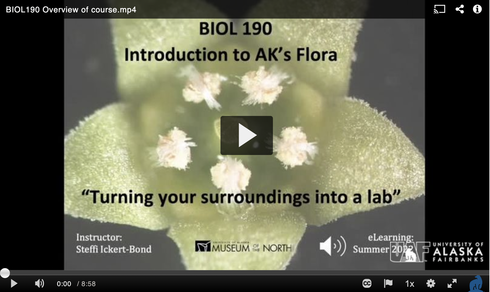 BIOL190 - Intro to AK Flora - Overview of class